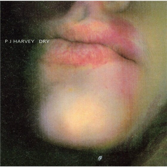 PJ Harvey - Dry