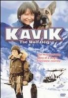 Kavik the wolf dog