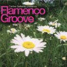 Carlos Gallardo - Flamecno Groove 2 CDs