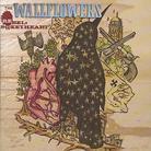 The Wallflowers - Rebel Sweetheart - Dual Disc/Ntsc Lc 0 (2 CDs)