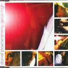 Daniel Powter - Jimmy Gets High