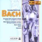 Doris Hagel & Johann Sebastian Bach (1685-1750) - Jauchzet Gott In Allen Landen