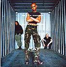 Skunk Anansie - Paranoid & Sunburnt (CD + DVD)