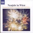 Various & Strauss/Lanner/Zierer - Neujahr In Wien - Musikalische Bonbons