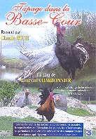 Tapage dans la Basse-Cour