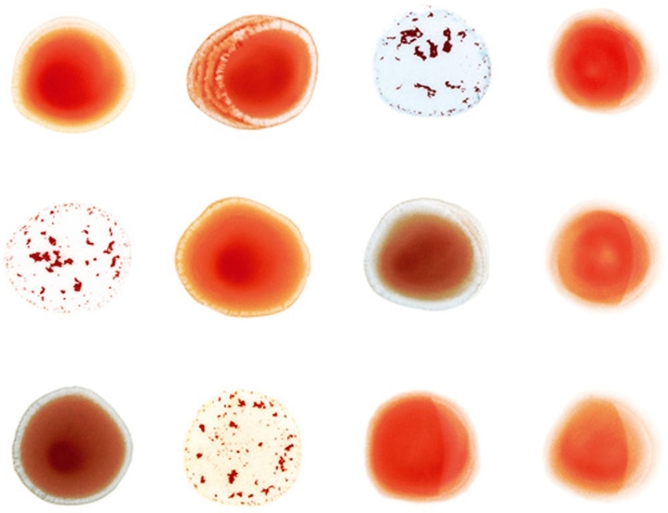 Peter Gabriel - Scratch My Back