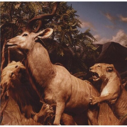 Interpol - Our Love To Admire