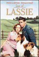 Son of Lassie