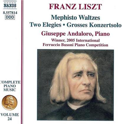 Giuseppe Andaloro & Liszt - Klavierwerke(Komp)23