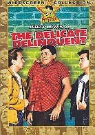 The Delicate Delinquent (1957) n/b