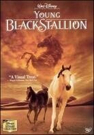 Young Black Stallion (2003)