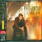 Peter Cincotti - East Of Angel Town Japan Edition