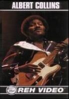 Albert Collins - Albert Collins