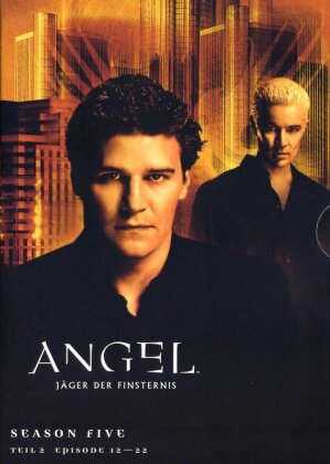 Angel - J&auml;ger der Finsternis - Staffel 5 - Episoden 12 - 22 (3 DVDs)