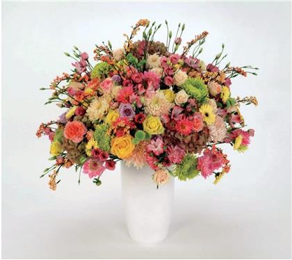 Tocotronic - Schall & Wahn