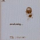 Third Eye - Awakening, South Aftrica