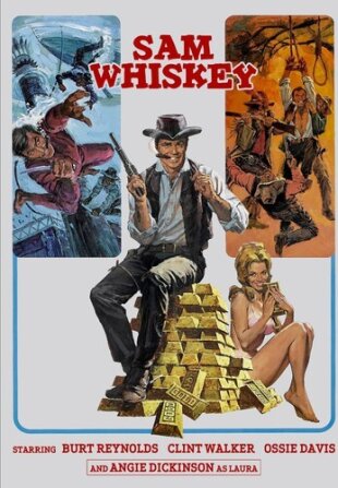 Sam Whiskey (1969)
