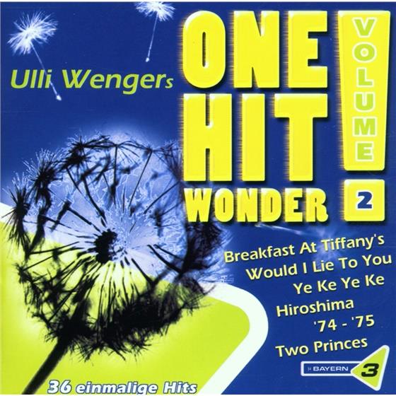 One Hit Wonder - Various 2 2 CDs