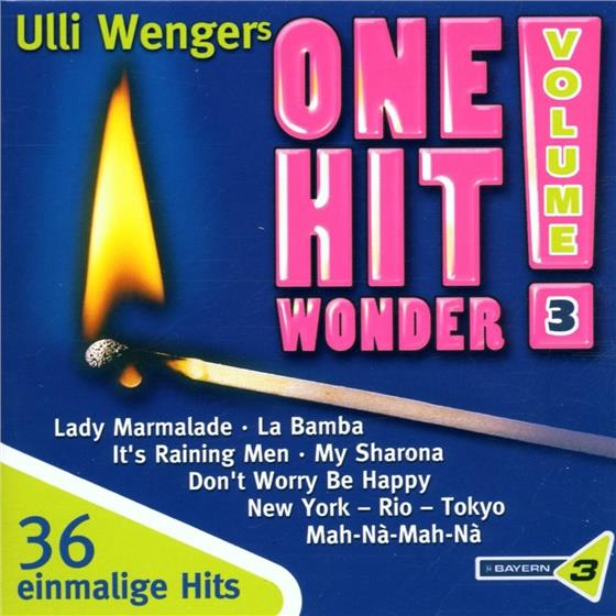 One Hit Wonder - Various 3 2 CDs
