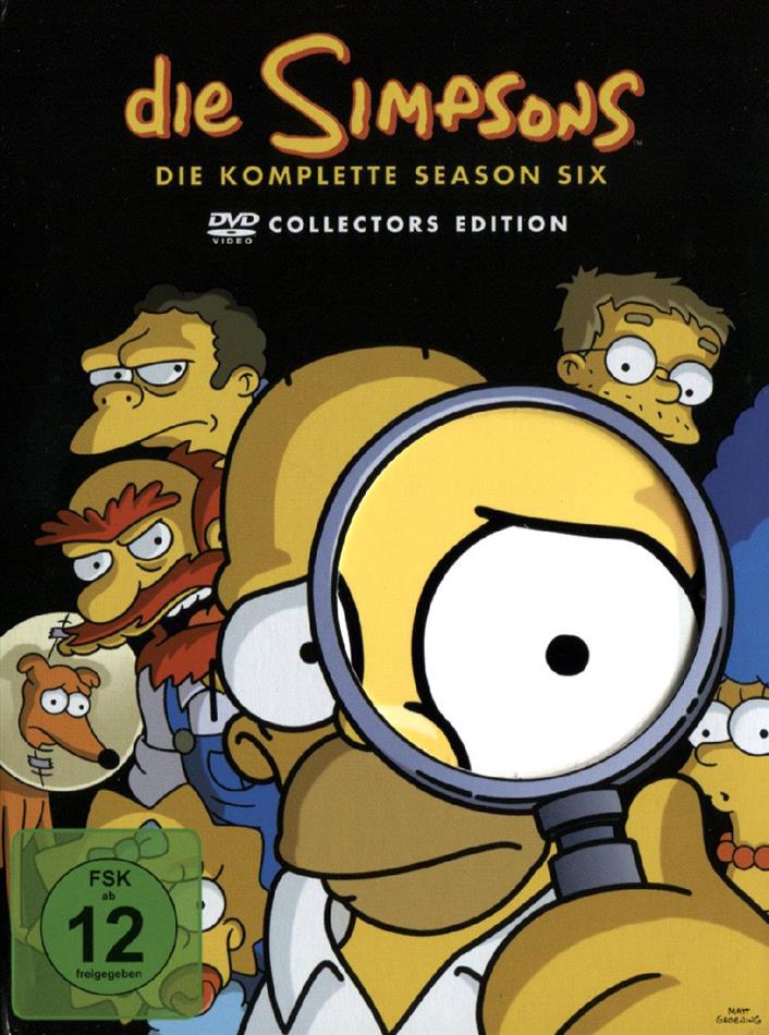 Die Simpsons - Staffel 6 Collector's Edition, 4 DVDs