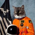 Klaxons - Surfing The Void - + Bonus
