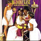 Big Daddy Kane - Long Live The Kane