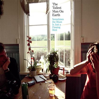 The Tallest Man On Earth - Sometimes the Blues Is Just a Passing Bird - Mini