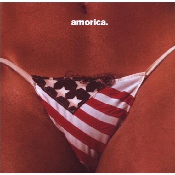 The Black Crowes - Amorica