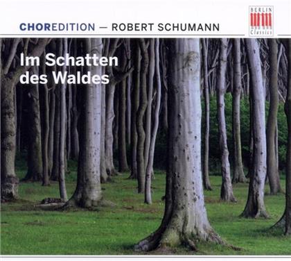 Robert Schumann (1810-1856) - Im Schatten Des Waldes