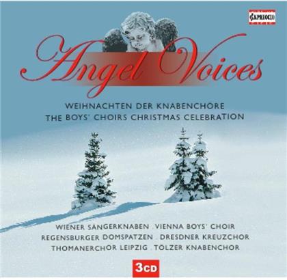 Wiener S&auml;ngerknaben & Regensburger Domspatzen - Angel Voices - Weihnachten der Knabench&ouml;re (3 CDs)