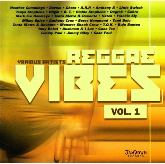 Raggae Vibes 1 - Various 2 CDs