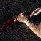 Sean Smith - Huge Fluid Freedom