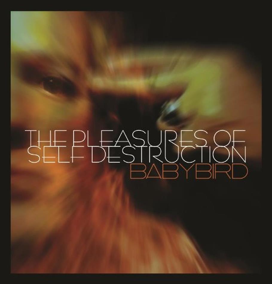 Babybird - Pleasure Of Self