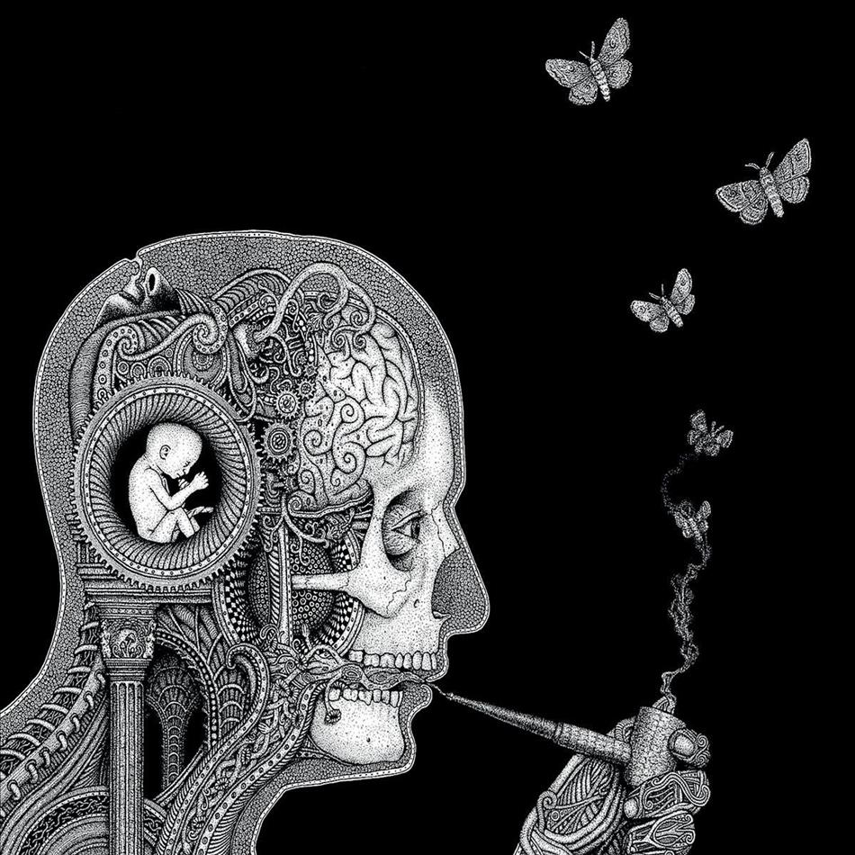 Soen - Cognitive
