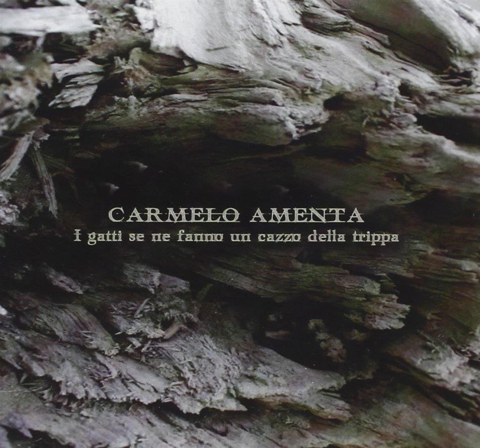 Amenta Carmelo - I Gatti Se Ne Fanno Un Cazzo Della Tripp