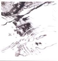 Steve Roden - Lichtung