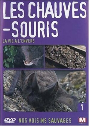Les chauves-souris - La vie &agrave; l'envers - Nos voisins sauvages Vol. 1