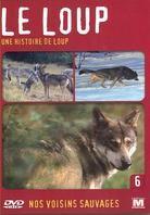 Le loup - Une histoire de loup - Nos voisins sauvages Vol. 6