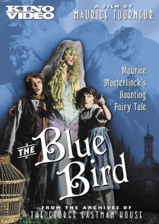 The Blue bird (1918)