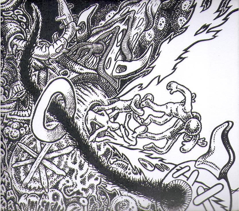 Shackleton - Music For The Quiet Hour/Drawbar Organ 2 CDs