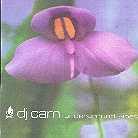 DJ Cam - Underground Vibes