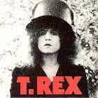 T.Rex - Slider 40Th Anniversary 3 CD + DVD + LP
