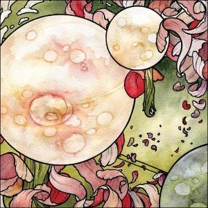 Torche - In Return CD + 12" Maxi