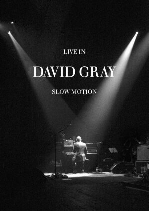 Gray David - Live in slow motion