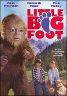 Little Bigfoot