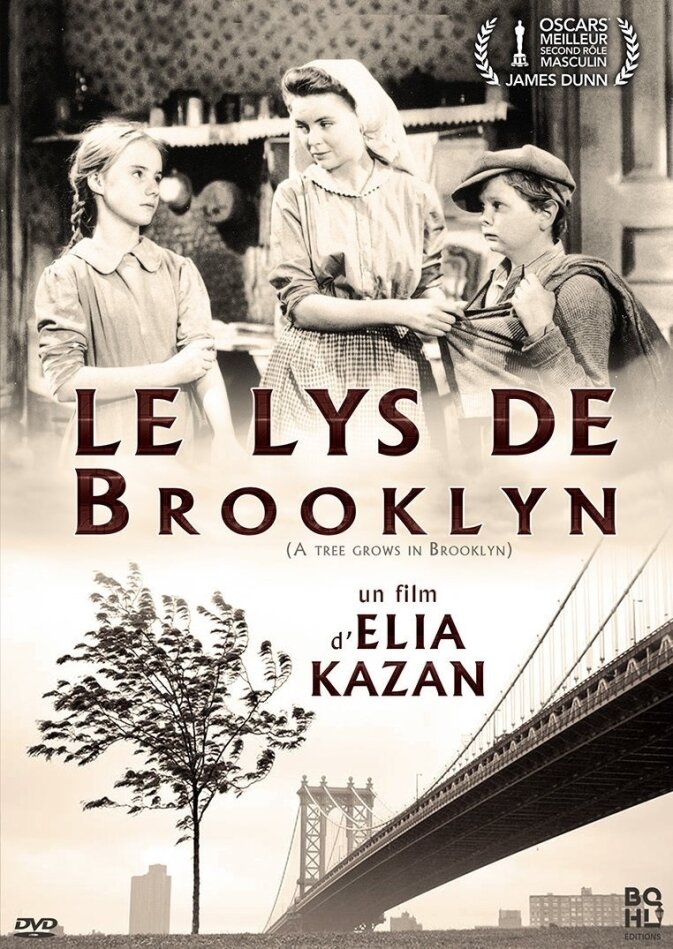 Le lys de Brooklyn (1945) n/b