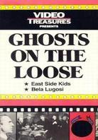Ghosts on the Loose (1943)