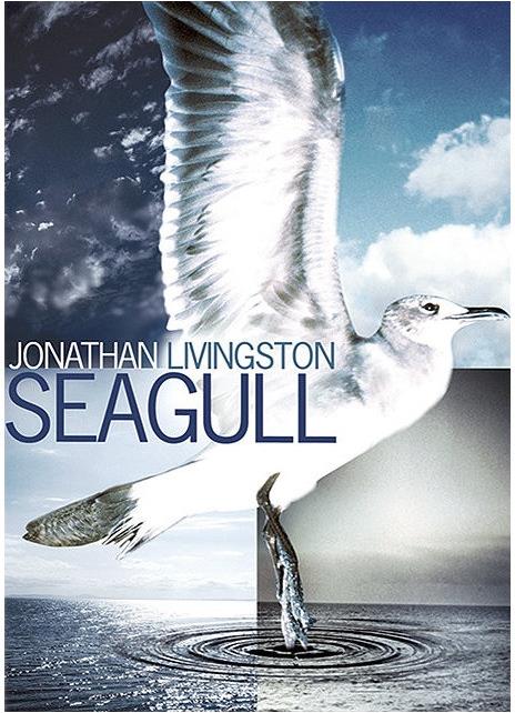 Jonathan Livingston le Goéland