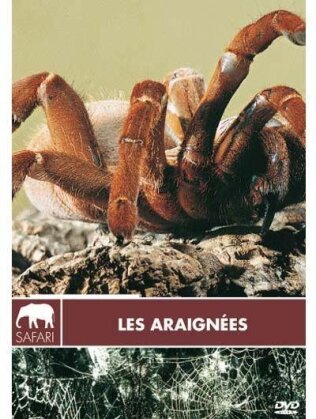 Les araign&eacute;es (Collection Safari)