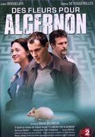 Des fleurs pour Algernon